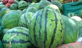 网红吃瓜爆料怎么找到的,探寻幕后线索与技巧